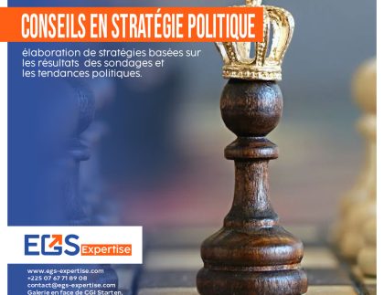 Conseils en stratégie politique: élaboration de stratégies basées sur les résultats des sondages